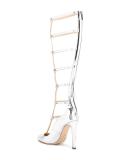 Dali 110 pumps