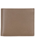 Apollo bifold wallet
