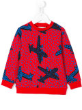 plane print sweatshirt 