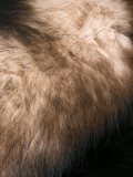 'As Tail Muff'围巾