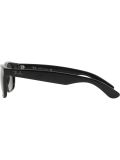 'New Wayfarer' sunglasses