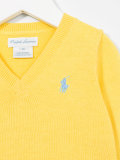 logo embroidered V-neck sweater