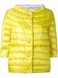 shortsleeved down jacket