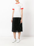 sheer pleated skirt