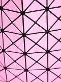 'Prism-2'手提包