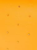 'Claudia Studs'手提包