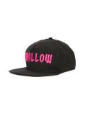 swallow embroidered cap