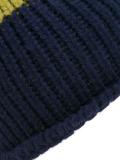 bi-colour beanie