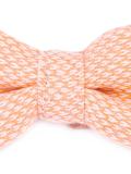 bicolour bow tie 