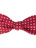 polka dot bow tie