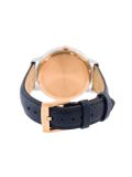 stainless steal dial watch 