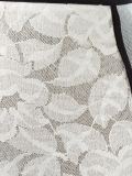 panelled lace hot pants