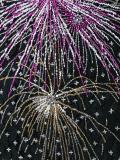 'Fireworks Concerto' lace skirt