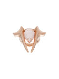 stone embellished ring