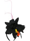花卉发带