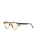 'The Iconic Tortoise' sunglasses