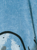 whale print robe