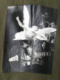 graphic print long shirt