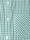 checked shortsleeved shirt
