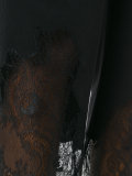 lace insert cropped trousers