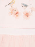 tulle skirt dress