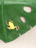 jungle clutch 