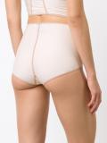 sheer briefs