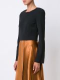 cropped longsleeved top