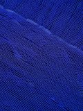 pleated scarf