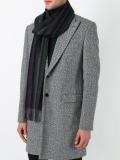 striped frayed hem scarf