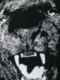 lion print sweatshirt