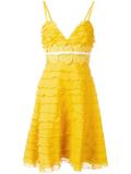 ruffled detailing flared dress