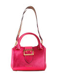 buckled frame tote