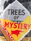 'Trees of Mystery'T恤
