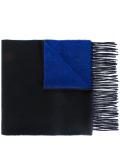 bicolour scarf