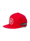 tiger baseball cap