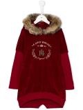 fur trimmed neck dress