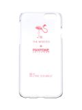 The Webster x Pantone Universe x Case Scenario iPhone 6手机壳