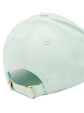 Lion baseball cap