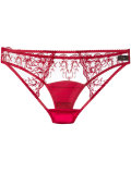 lace briefs 
