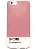 The Webster x Pantone Universe x Case Scenario iPhone 6手机壳
