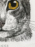 cat print T-shirt 