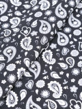 paisley print pocket square