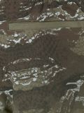 'Banes'短裤