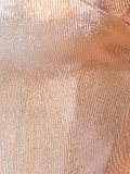 'Fizzie'连体紧身衣