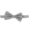 dotted bow tie