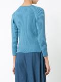 Kedi jumper