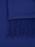 cashmere fringed scarf