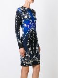 rose and star fitted dress