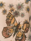 butterfly and floral print top